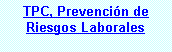 Cuadro de texto: TPC, Prevencin de Riesgos Laborales